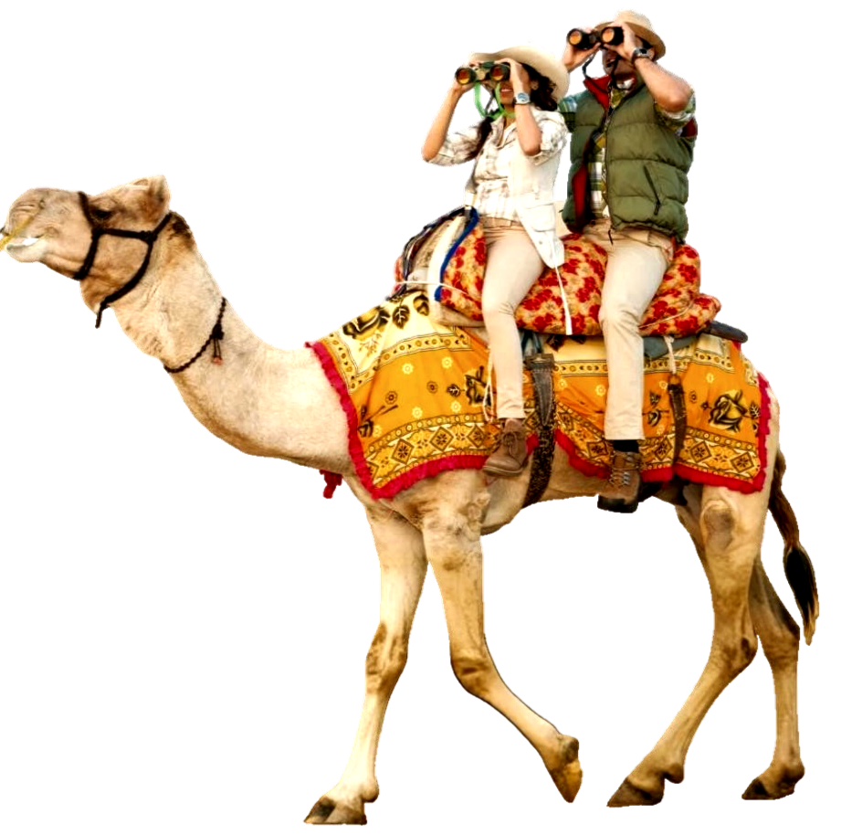 Desert Guide