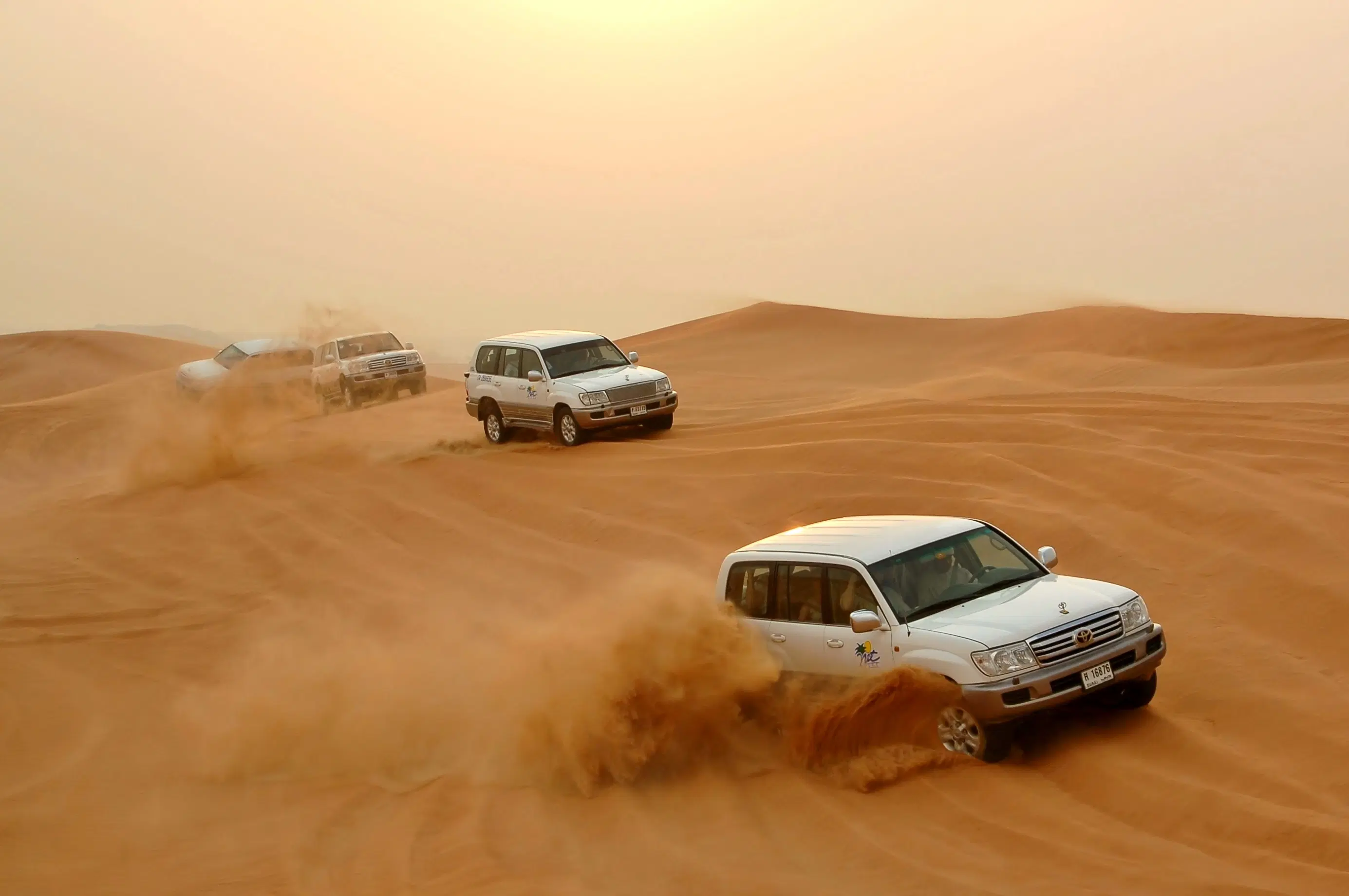 The Haifa Mystic Desert Safari